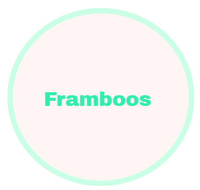 Framboos Sorbet